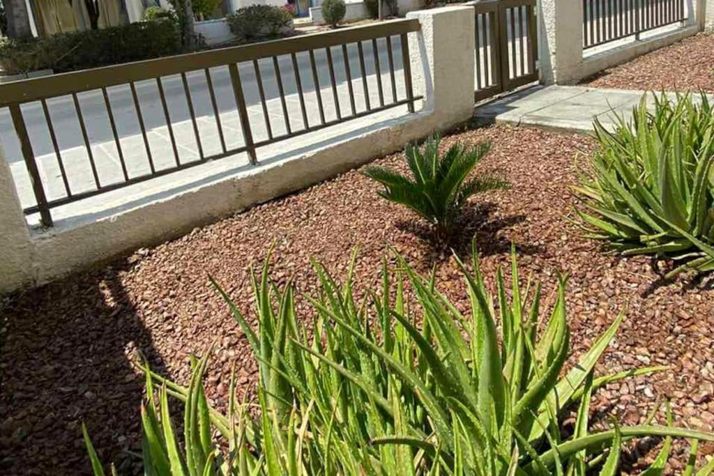 Ferienwohnung Dalia 9 Paphos Exterior foto